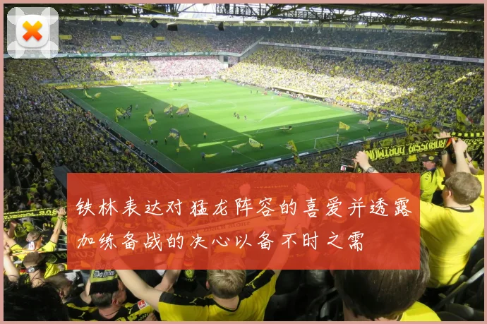 铁林表达对猛龙阵容的喜爱并透露加练备战的决心以备不时之需